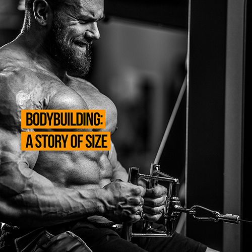 Bodybuilding: A Story of Size - PhysioRoom Blog