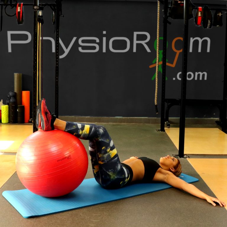 The Benefits of Using Swiss Balls PhysioRoom Blog